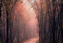 PG电子试玩-曼联多线作战阵容调整，保证体能充沛