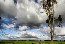 PG电子官方-西雅图海湾者防线协作提升，力求限制攻击