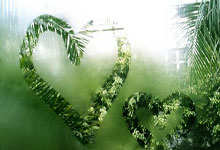 PG电子试玩官网-阿尔希拉尔备战细节频出，球队积极调整状态