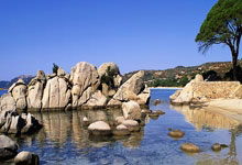 PG平台-冰刃破晓！加拿大梦幻首战力挫非洲雄狮