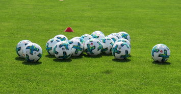 PG中国登录入口-恩菲尔德主场迎战塔斯马尼亚联，锋线火力引爆看点