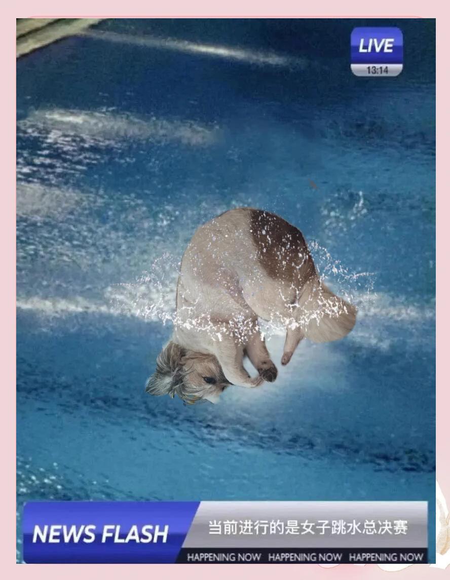 PG电子游戏-塞拉利昂帆船选手勇夺金牌，实力雄厚